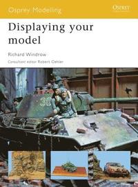 bokomslag Displaying your model