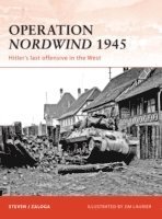 bokomslag Operation Nordwind 1945