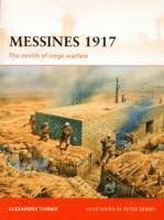 bokomslag Messines 1917
