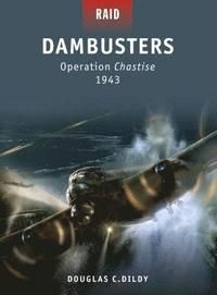 bokomslag Dambusters