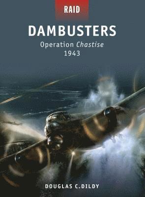 bokomslag Dambusters
