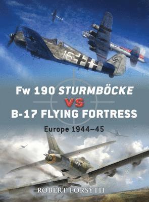 bokomslag Fw 190 Sturmböcke vs B-17 Flying Fortress