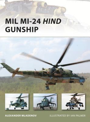 Mil Mi-24 Hind Gunship 1