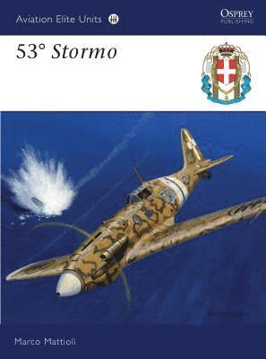 53° Stormo 1