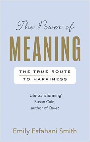 The Power of Meaning 1