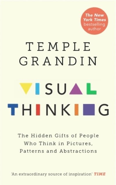 Visual Thinking 1