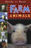 Farm Animals