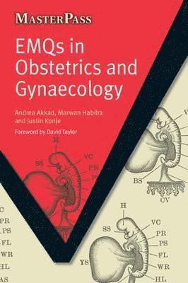 bokomslag EMQs in Obstetrics and Gynaecology