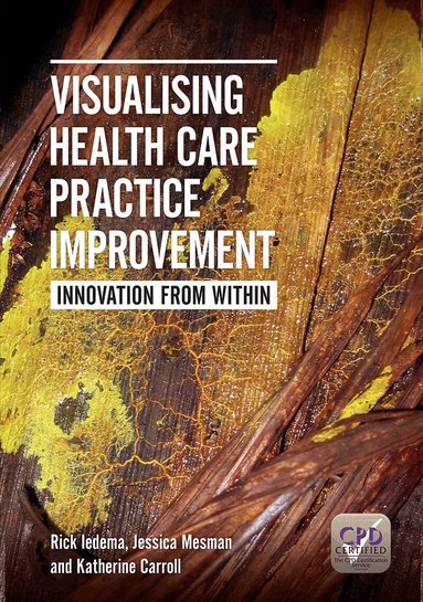 Rick Iedema, Jessica Mesman, Katherine Carroll - Visualising Health Care Practice Improvement, Häftad
