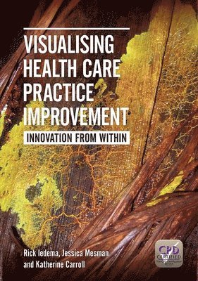 Visualising Health Care Practice Improvement 1