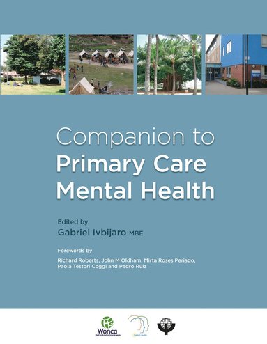 bokomslag Companion to Primary Care Mental Health