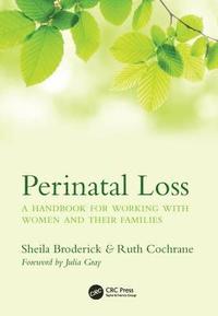 bokomslag Perinatal Loss