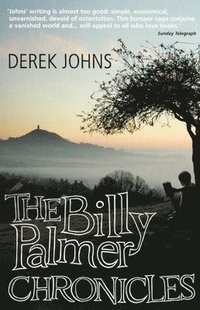 bokomslag Billy Palmer Chronicles