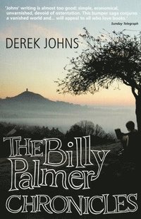 bokomslag The Billy Palmer Chronicles