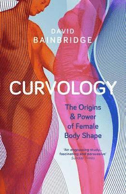 David Bainbridge - Curvology, Häftad