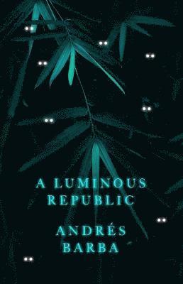 bokomslag A Luminous Republic