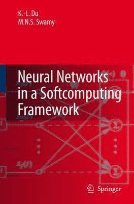 Neural Networks in a Softcomputing Framework 1