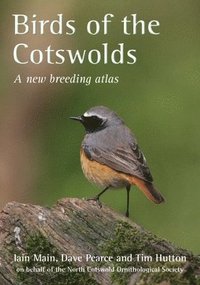 bokomslag Birds of the Cotswolds
