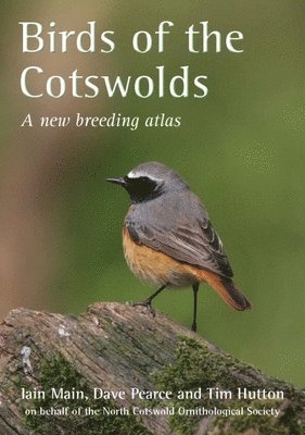bokomslag Birds of the Cotswolds