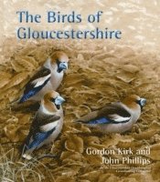bokomslag The Birds of Gloucestershire