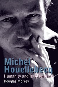 bokomslag Michel Houellebecq
