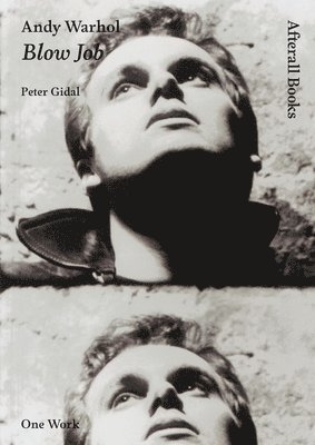 Peter Gidal - Andy Warhol, Häftad