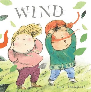 bokomslag Wind
