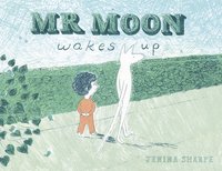 bokomslag Mr Moon Wakes Up