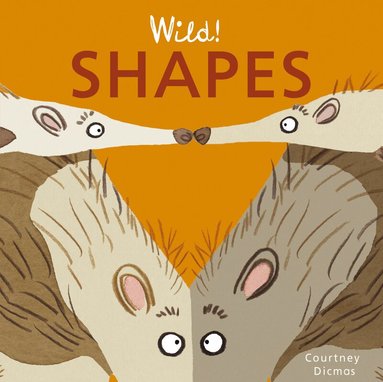Courtney Dicmas - Shapes, Kartonnage