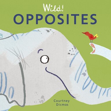 Courtney Dicmas - Opposites, Kartonnage