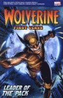 bokomslag Wolverine