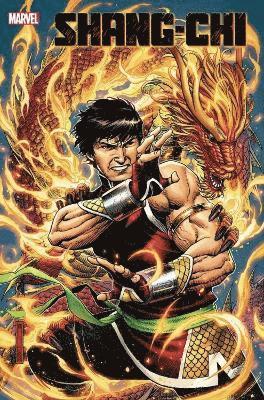 Shang-Chi Vol. 1 Brothers & Sisters 1