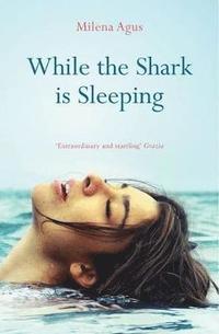 bokomslag While the Shark is Sleeping