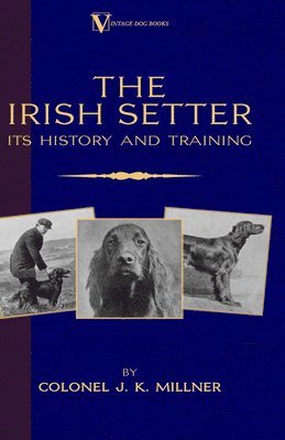 The Irish Setter - Its History & Training (A Vintage Dog Books Breed Classic) 1