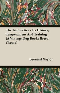 bokomslag Irish Setter - Its History, Temperament And Training (A Vintage Dog Books Breed Classic)