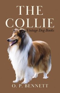 bokomslag The Collie (A Vintage Dog Books Breed Classic)