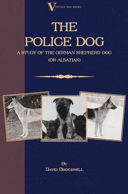 The Police Dog 1