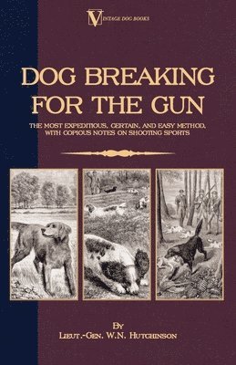 Dog Breaking For The Gun 1