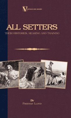bokomslag All Setters: Their Histories, Rearing & Training (A Vintage Dog Books Breed Classic - Irish Setter / English Setter / Gordon Setter): Vintage Dog Book