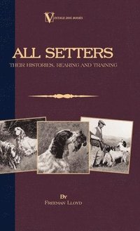 bokomslag All Setters: Their Histories, Rearing & Training (A Vintage Dog Books Breed Classic - Irish Setter / English Setter / Gordon Setter): Vintage Dog Book