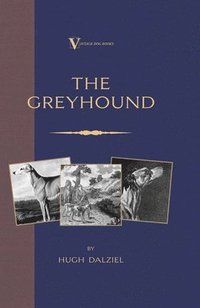 bokomslag The Greyhound