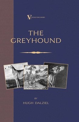 The Greyhound 1