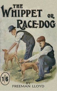 bokomslag The Whippet or Race Dog