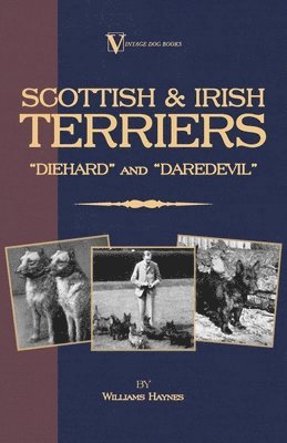 Williams Haynes - Scottish Terriers And Irish Terriers - "Scottie Diehard" and "Irish Daredevil" (A Vintage Dog Books Breed Classic), Häftad