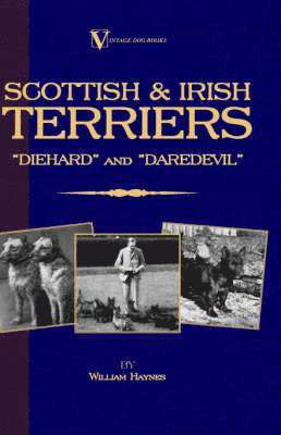 Scottish Terriers And Irish Terriers - &quot;Scottie Diehard&quot; and &quot;Irish Daredevil&quot; (A Vintage Dog Books Breed Classic) 1