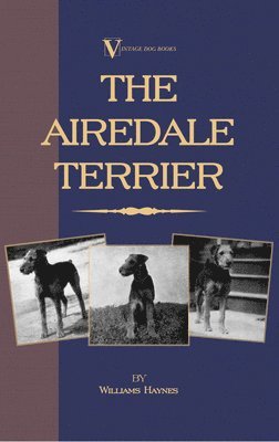 Airedale Terrier (A Vintage Dog Books Breed Classic)