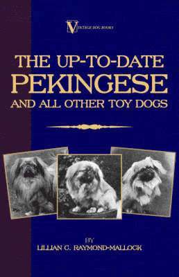 C. Raymond-Mallock, Lillian, Lillian C. Raymond-Mallock - Up-to-Date Pekingese And All Other Toy Dogs (A Vintage Dog Books Breed Classic), Häftad