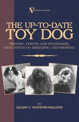 bokomslag Up-to-Date Toy Dog