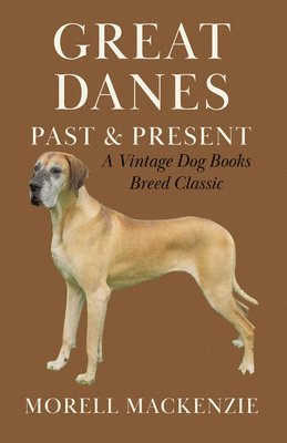 Great Danes 1