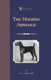 bokomslag The Modern Airedale Terrier